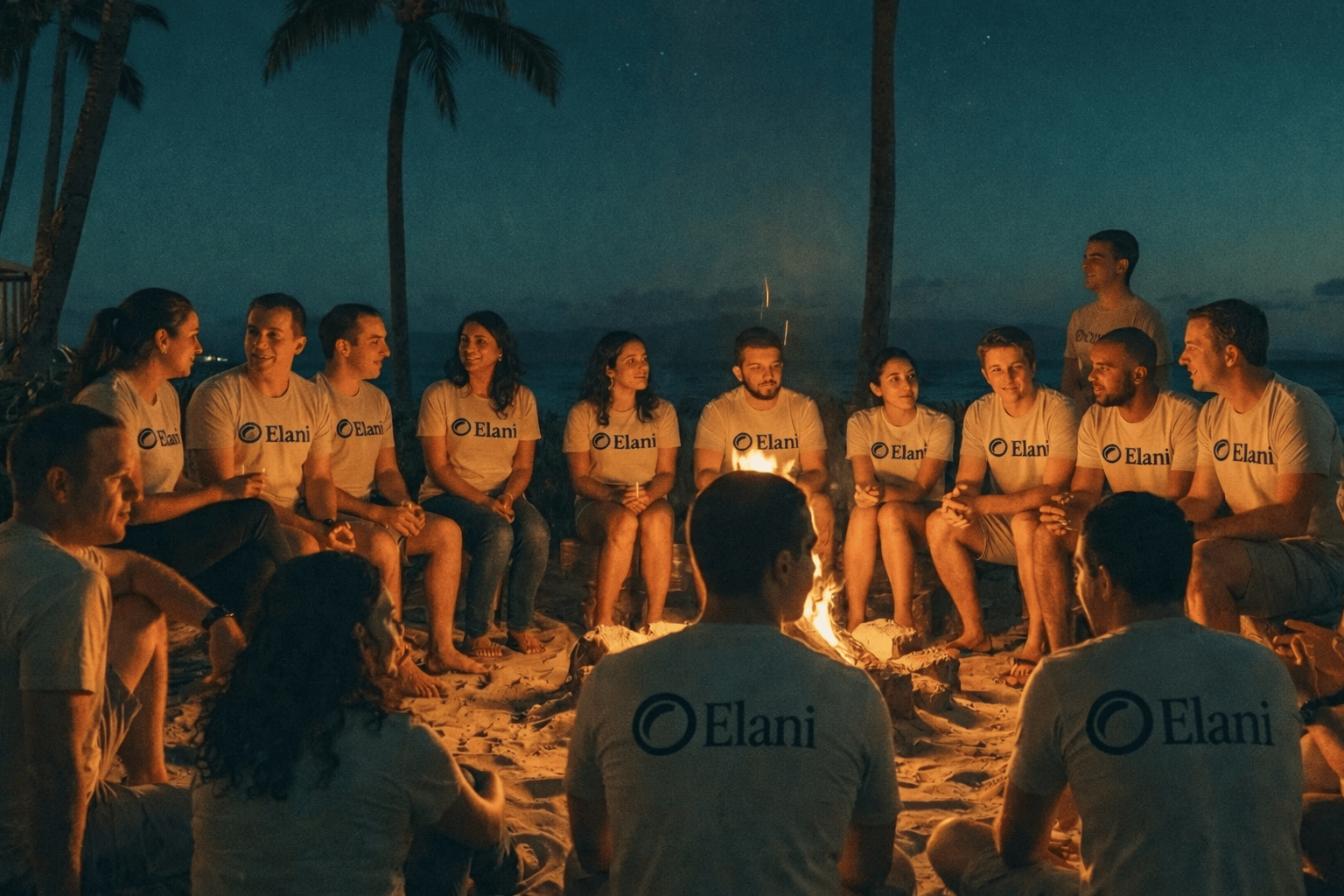 The Elani team working together